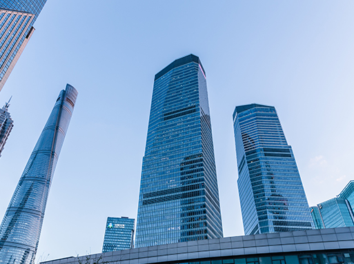  以雄厚的科技開發(fā)力量為后盾